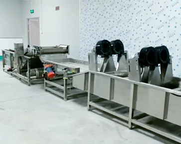 Clean vegetable production line