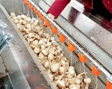 Nanjing Ciju Hair Roller Cleaning Machine, China