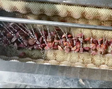 China Yantai Woolen Roller Cleaning Machine for Cleaning Seafood