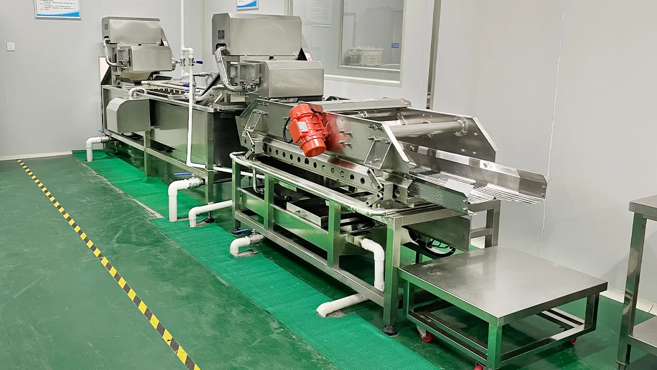 Luoyang Tomato Production Line, Henan, China