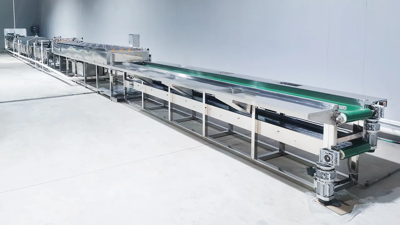 Potato and Radish Production Line