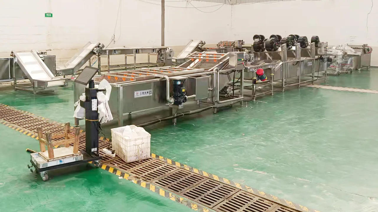 Edible mushroom production line