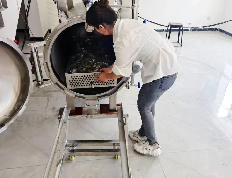 Case of Zongzi in Deyang, Sichuan, China